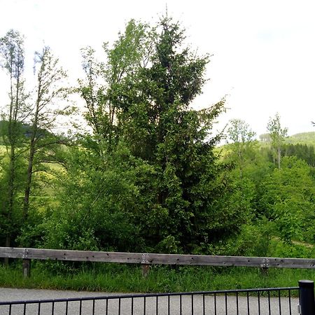 Appartamento Feapp Parken & Pennen Mondsee Esterno foto