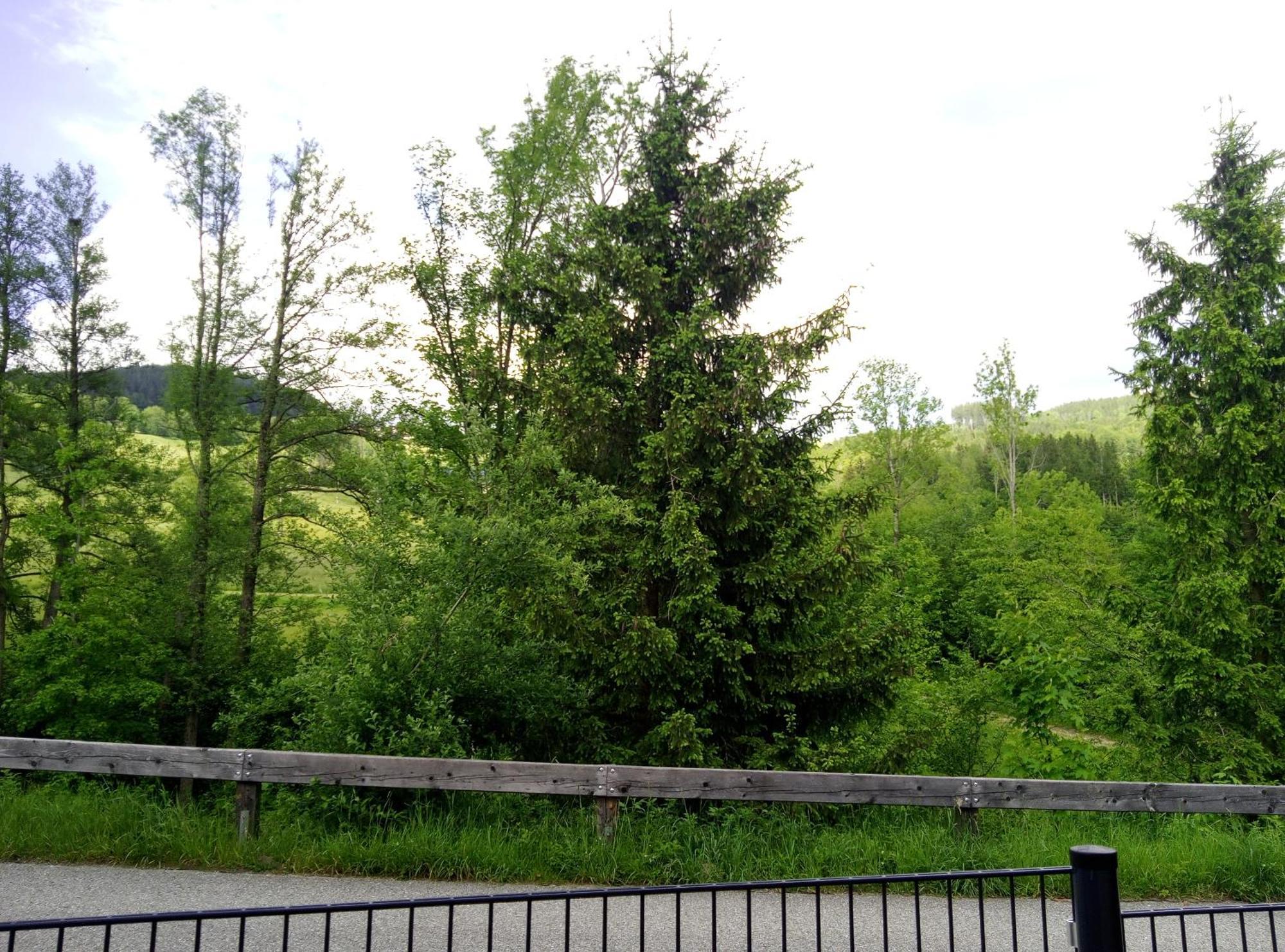 Appartamento Feapp Parken & Pennen Mondsee Esterno foto