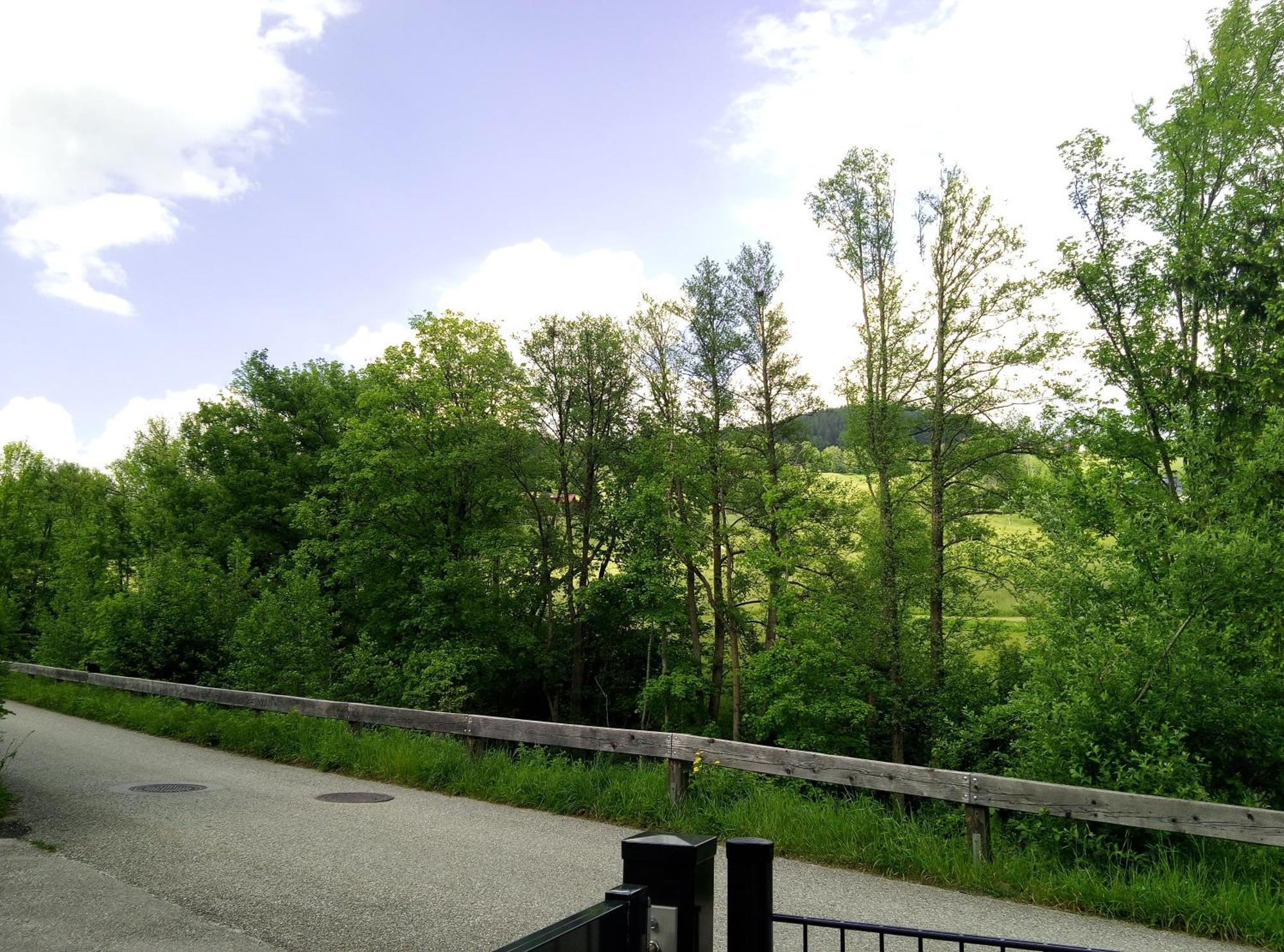 Appartamento Feapp Parken & Pennen Mondsee Esterno foto