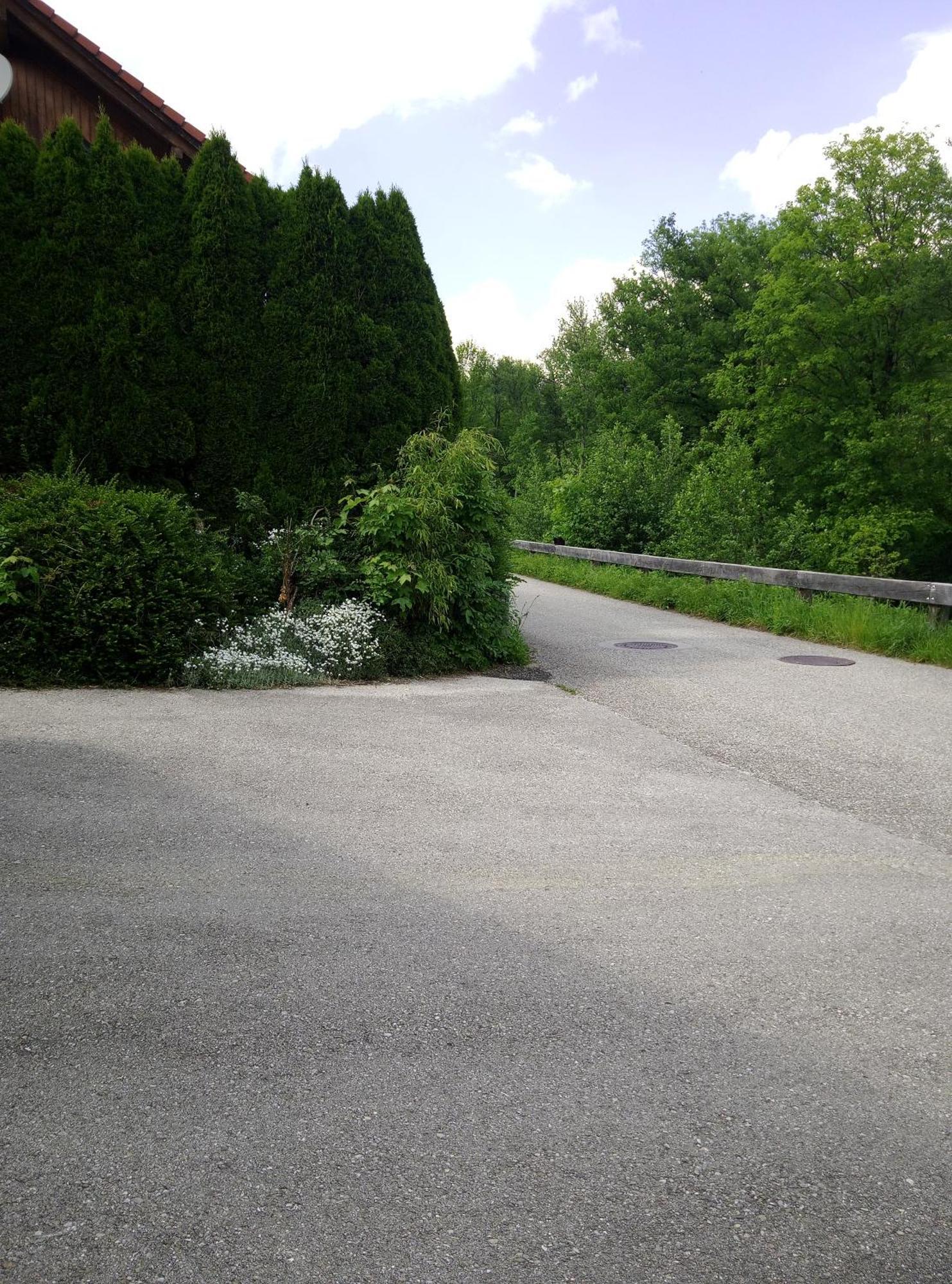 Appartamento Feapp Parken & Pennen Mondsee Esterno foto