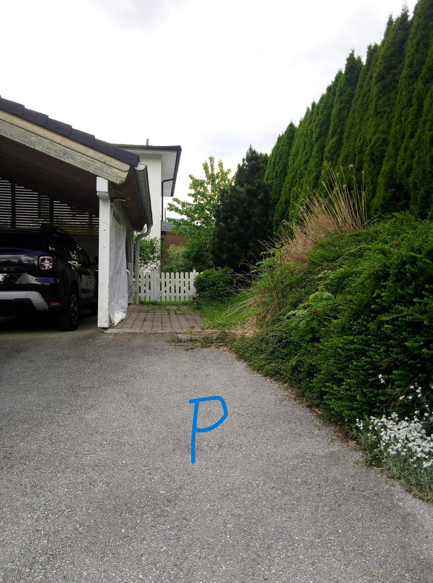Appartamento Feapp Parken & Pennen Mondsee Esterno foto
